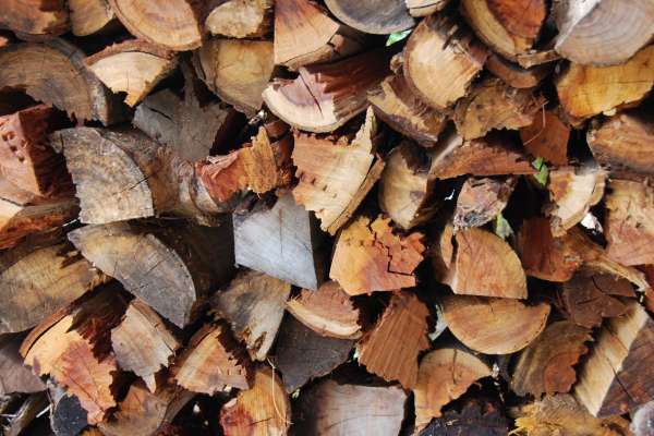 Logs 4968328